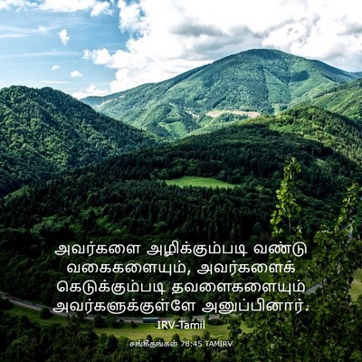Picture 03 - சங்கீதங்கள் 78:45 TAMIRV - அவர்களை - Bible Verse Picture