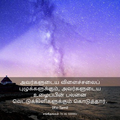 Picture 03 - சங்கீதங்கள் 78:46 TAMIRV - அவர்களுடைய - Bible Verse Picture