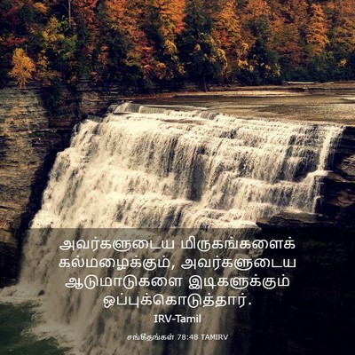 Picture 03 - சங்கீதங்கள் 78:48 TAMIRV - அவர்களுடைய - Bible Verse Picture