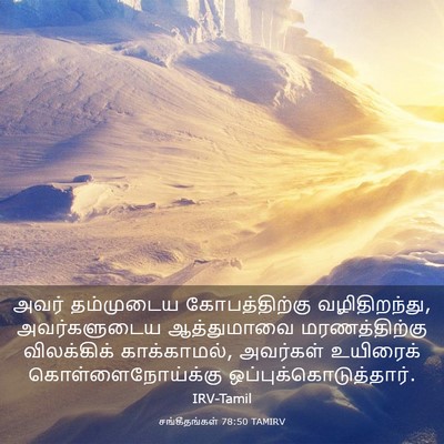 Picture 03 - சங்கீதங்கள் 78:50 TAMIRV - அவர் தம்முடைய - Bible Verse Picture