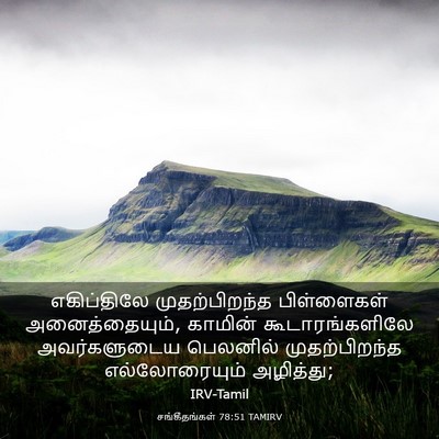 Picture 03 - சங்கீதங்கள் 78:51 TAMIRV - எகிப்திலே - Bible Verse Picture