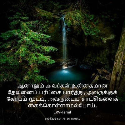 Picture 03 - சங்கீதங்கள் 78:56 TAMIRV - ஆனாலும் அவர்கள் - Bible Verse Picture