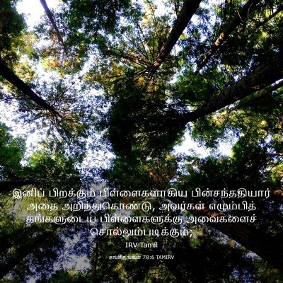 Picture 03 - சங்கீதங்கள் 78:6 TAMIRV - இனிப் பிறக்கும் - Bible Verse Picture