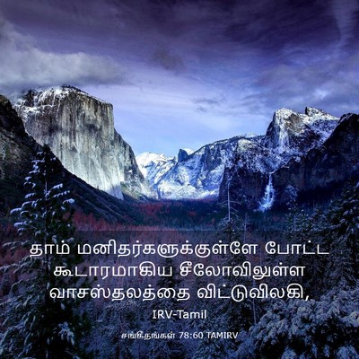 Picture 03 - சங்கீதங்கள் 78:60 TAMIRV - தாம் - Bible Verse Picture