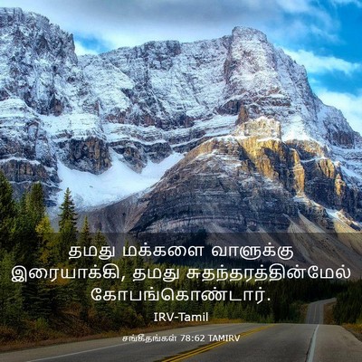 Picture 03 - சங்கீதங்கள் 78:62 TAMIRV - தமது மக்களை - Bible Verse Picture