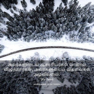 Picture 03 - சங்கீதங்கள் 78:64 TAMIRV - அவர்களுடைய - Bible Verse Picture