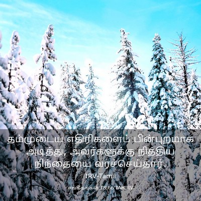 Picture 03 - சங்கீதங்கள் 78:66 TAMIRV - தம்முடைய - Bible Verse Picture