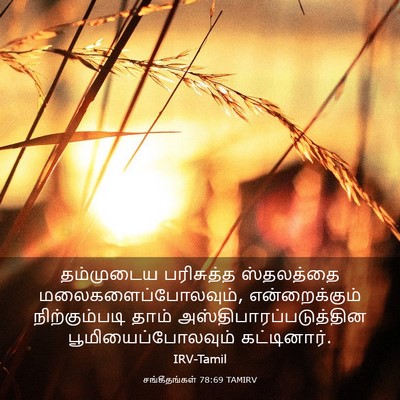 Picture 03 - சங்கீதங்கள் 78:69 TAMIRV - தம்முடைய பரிசுத்த - Bible Verse Picture