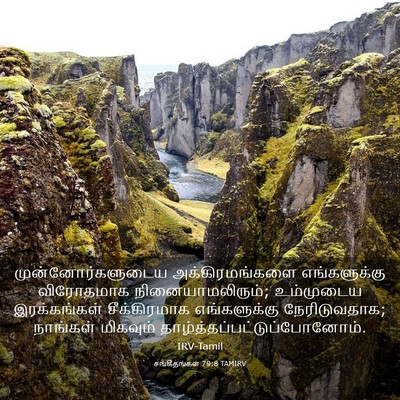 Picture 03 - சங்கீதங்கள் 79:8 TAMIRV - முன்னோர்களுடைய - Bible Verse Picture