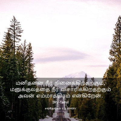 Picture 03 - சங்கீதங்கள் 8:4 TAMIRV - மனிதனை நீர் - Bible Verse Picture