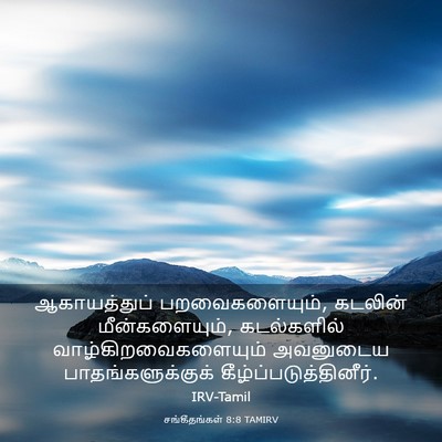 Picture 03 - சங்கீதங்கள் 8:8 TAMIRV - ஆகாயத்துப் - Bible Verse Picture