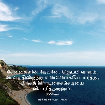 Picture 03 - சங்கீதங்கள் 80:14 TAMIRV - சேனைகளின் தேவனே, - Bible Verse Picture