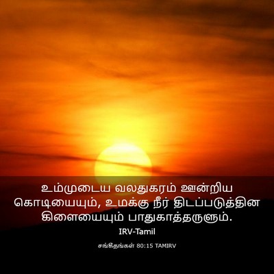 Picture 03 - சங்கீதங்கள் 80:15 TAMIRV - உம்முடைய வலதுகரம் - Bible Verse Picture
