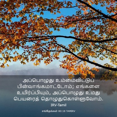 Picture 03 - சங்கீதங்கள் 80:18 TAMIRV - அப்பொழுது - Bible Verse Picture
