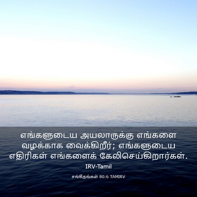 Picture 03 - சங்கீதங்கள் 80:6 TAMIRV - எங்களுடைய - Bible Verse Picture
