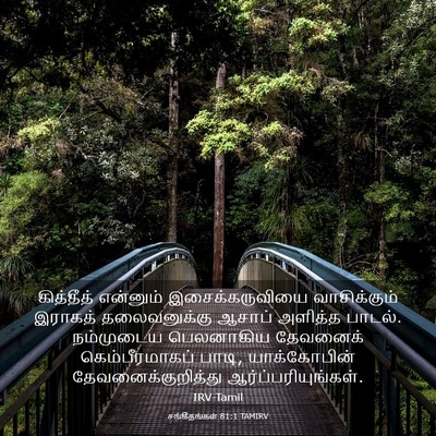 Picture 03 - சங்கீதங்கள் 81:1 TAMIRV - கித்தீத் என்னும் - Bible Verse Picture
