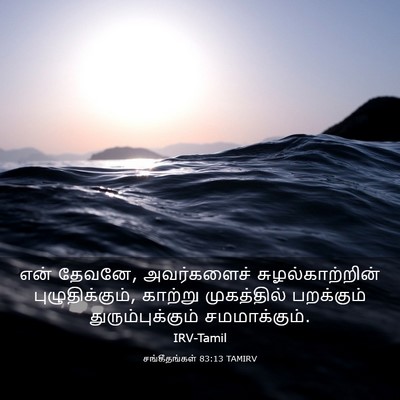 Picture 03 - சங்கீதங்கள் 83:13 TAMIRV - என் தேவனே, - Bible Verse Picture