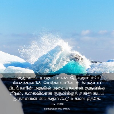 Picture 03 - சங்கீதங்கள் 84:3 TAMIRV - என்னுடைய ராஜாவும் - Bible Verse Picture