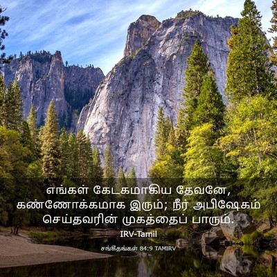 Picture 03 - சங்கீதங்கள் 84:9 TAMIRV - எங்கள் கேடகமாகிய - Bible Verse Picture