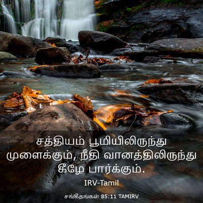 Picture 03 - சங்கீதங்கள் 85:11 TAMIRV - சத்தியம் - Bible Verse Picture