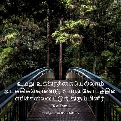 Picture 03 - சங்கீதங்கள் 85:3 TAMIRV - உமது - Bible Verse Picture