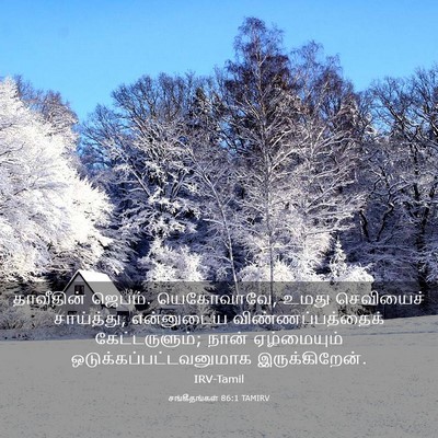 Picture 03 - சங்கீதங்கள் 86:1 TAMIRV - தாவீதின் ஜெபம். - Bible Verse Picture