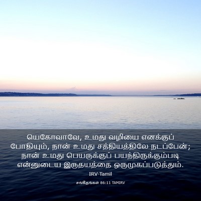 Picture 03 - சங்கீதங்கள் 86:11 TAMIRV - யெகோவாவே, உமது - Bible Verse Picture