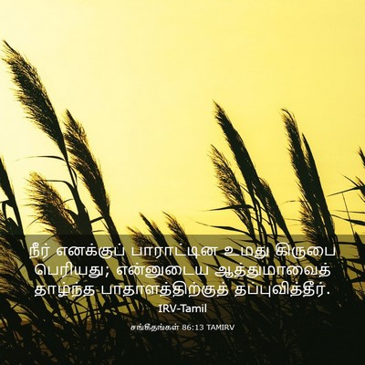Picture 03 - சங்கீதங்கள் 86:13 TAMIRV - நீர் எனக்குப் - Bible Verse Picture