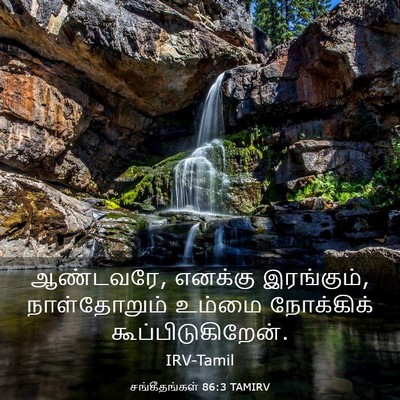 Picture 03 - சங்கீதங்கள் 86:3 TAMIRV - ஆண்டவரே, எனக்கு - Bible Verse Picture