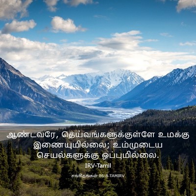 Picture 03 - சங்கீதங்கள் 86:8 TAMIRV - ஆண்டவரே, - Bible Verse Picture