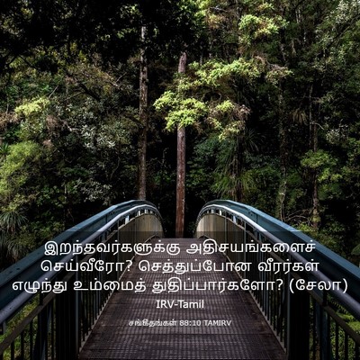 Picture 03 - சங்கீதங்கள் 88:10 TAMIRV - இறந்தவர்களுக்கு - Bible Verse Picture