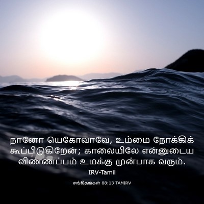 Picture 03 - சங்கீதங்கள் 88:13 TAMIRV - நானோ யெகோவாவே, - Bible Verse Picture