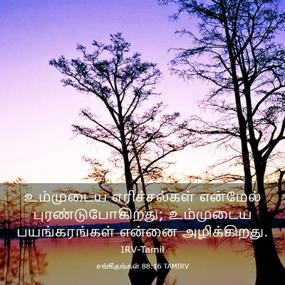 Picture 03 - சங்கீதங்கள் 88:16 TAMIRV - உம்முடைய - Bible Verse Picture