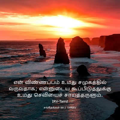 Picture 03 - சங்கீதங்கள் 88:2 TAMIRV - என் விண்ணப்பம் - Bible Verse Picture