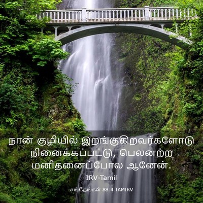 Picture 03 - சங்கீதங்கள் 88:4 TAMIRV - நான் குழியில் - Bible Verse Picture