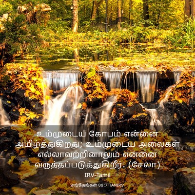 Picture 03 - சங்கீதங்கள் 88:7 TAMIRV - உம்முடைய கோபம் - Bible Verse Picture