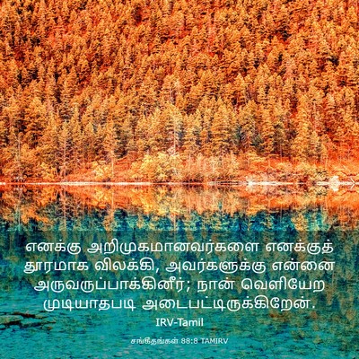 Picture 03 - சங்கீதங்கள் 88:8 TAMIRV - எனக்கு - Bible Verse Picture
