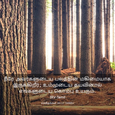Picture 03 - சங்கீதங்கள் 89:17 TAMIRV - நீரே அவர்களுடைய - Bible Verse Picture