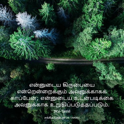 Picture 03 - சங்கீதங்கள் 89:28 TAMIRV - என்னுடைய கிருபையை - Bible Verse Picture