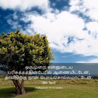 Picture 03 - சங்கீதங்கள் 89:35 TAMIRV - ஒருமுறை என்னுடைய - Bible Verse Picture