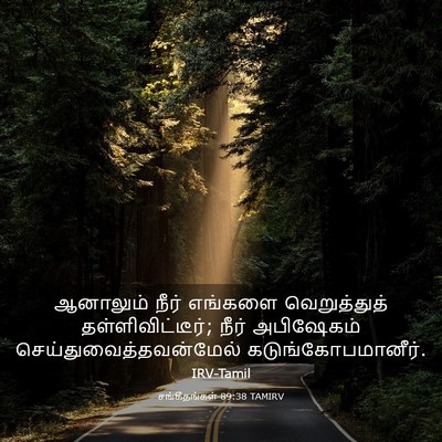Picture 03 - சங்கீதங்கள் 89:38 TAMIRV - ஆனாலும் நீர் - Bible Verse Picture