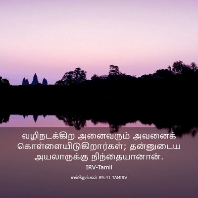 Picture 03 - சங்கீதங்கள் 89:41 TAMIRV - வழிநடக்கிற - Bible Verse Picture