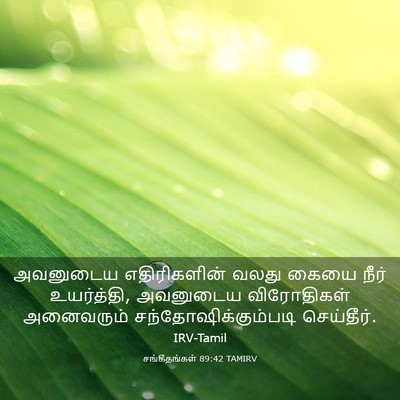 Picture 03 - சங்கீதங்கள் 89:42 TAMIRV - அவனுடைய - Bible Verse Picture