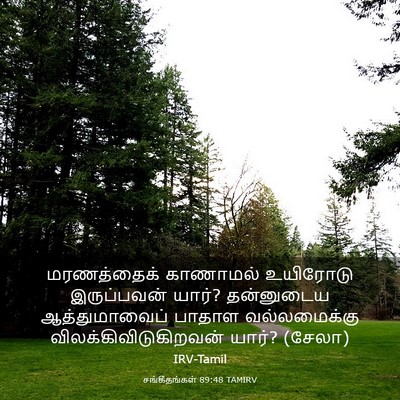 Picture 03 - சங்கீதங்கள் 89:48 TAMIRV - மரணத்தைக் காணாமல் - Bible Verse Picture