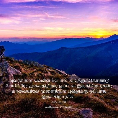 Picture 03 - சங்கீதங்கள் 90:5 TAMIRV - அவர்களை - Bible Verse Picture