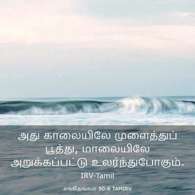 Picture 03 - சங்கீதங்கள் 90:6 TAMIRV - அது காலையிலே - Bible Verse Picture
