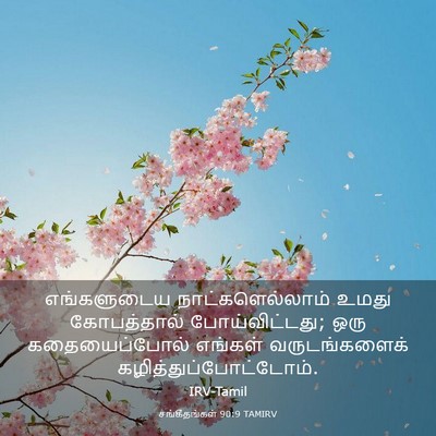Picture 03 - சங்கீதங்கள் 90:9 TAMIRV - எங்களுடைய - Bible Verse Picture