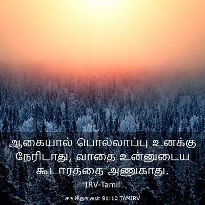 Picture 03 - சங்கீதங்கள் 91:10 TAMIRV - ஆகையால் - Bible Verse Picture