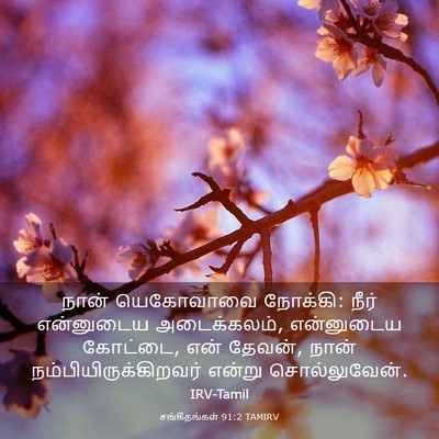 Picture 03 - சங்கீதங்கள் 91:2 TAMIRV - நான் யெகோவாவை - Bible Verse Picture