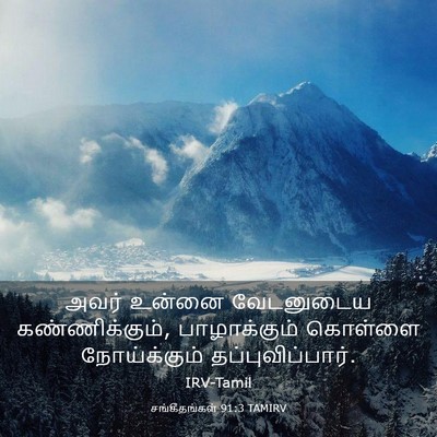 Picture 03 - சங்கீதங்கள் 91:3 TAMIRV - அவர் உன்னை - Bible Verse Picture